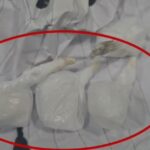 godina-3-kateshe-ne-lezhe-ishte-kthyer-ne-kazino-dhe-‘fole’-droge,-sekuestrohen-miliona-leke,-euro-dhe-dollare-e-kokaine,-nje-ne-pranga,-nje-tjeter-ne-kerkim