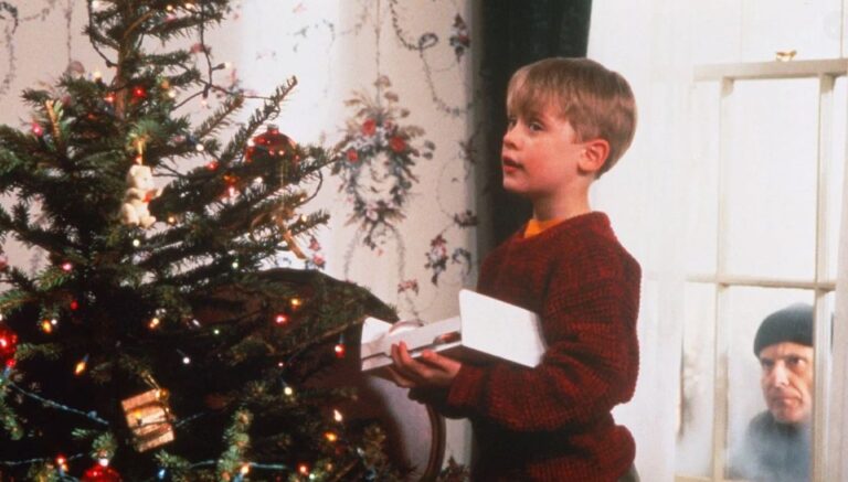 braktisje,-tentative-vrasjeje-dhe…/-cilat-jane-krimet-qe-kryhen-tek-“home-alone”-dhe-denimet-sipas-ligji-per-prinderit-e-kevinit-dhe-hajdutet.-i-vetmi-i-“pafajshem”…