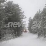 theth/-automjetet-bllokohen-nga-debora-ne-qafe-thore,-shofereve-u-kerkohet-pagese-per-pastrimin-e-rruges-(video)