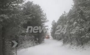 theth/-automjetet-bllokohen-nga-debora-ne-qafe-thore,-shofereve-u-kerkohet-pagese-per-pastrimin-e-rruges-(video)