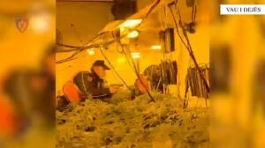 “policia!”/-kthyen-dy-banesa-ne-“shtepi-bari”,-arrestohet-i-riu-dhe-shpallen-ne-kerkim-bashkepunetoret-e-tij.-ndalohen-edhe-tre-punonjes-te-oshee