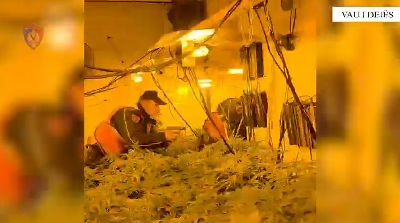 “policia!”/-kthyen-dy-banesa-ne-“shtepi-bari”,-arrestohet-i-riu-dhe-shpallen-ne-kerkim-bashkepunetoret-e-tij.-ndalohen-edhe-tre-punonjes-te-oshee