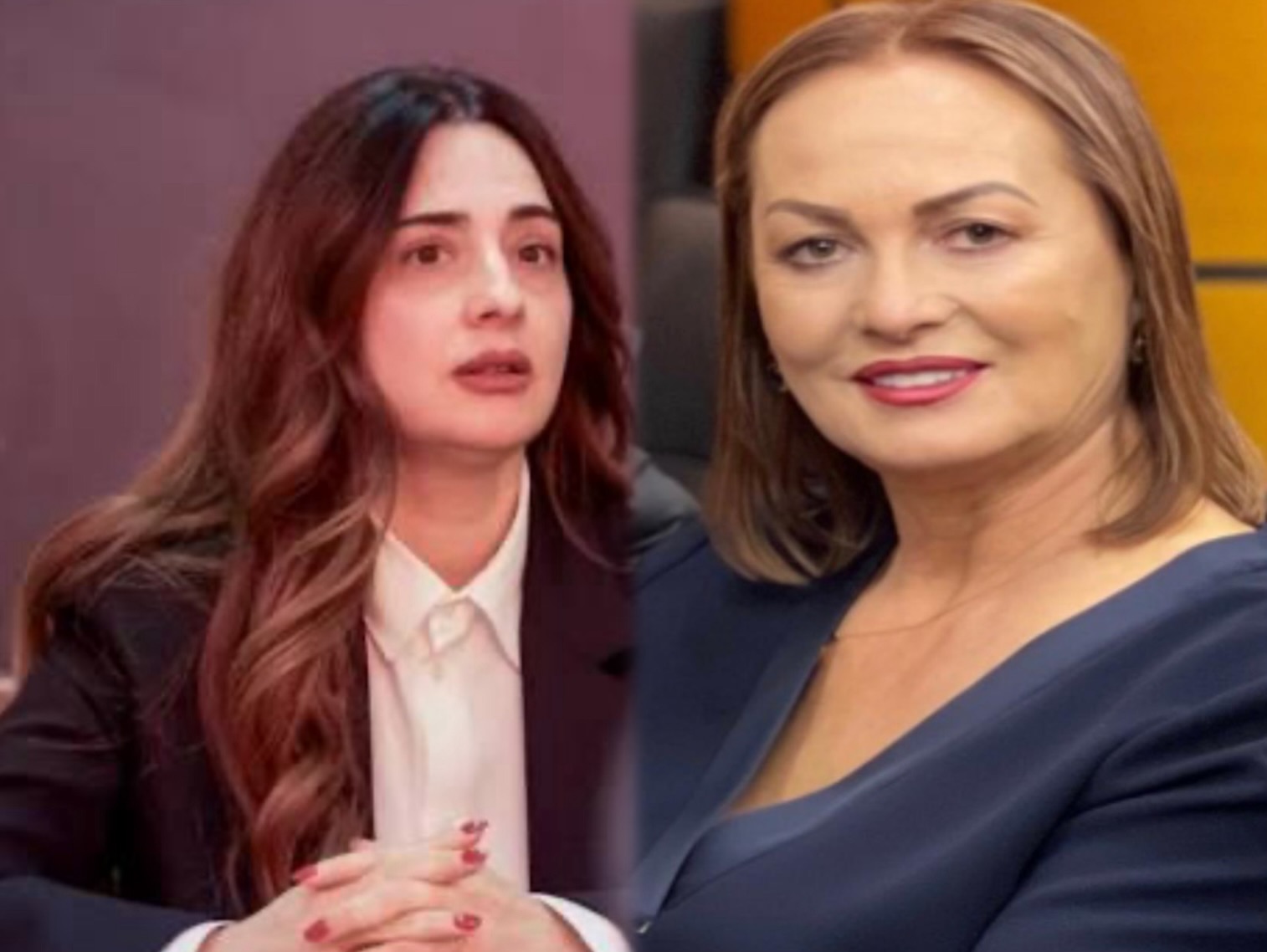 emerohet-drejtoresha-e-spitalit-te-sanatoriumit.-elisaveta-treska-partnere-ne-biznes-me-shpresa-brecanin