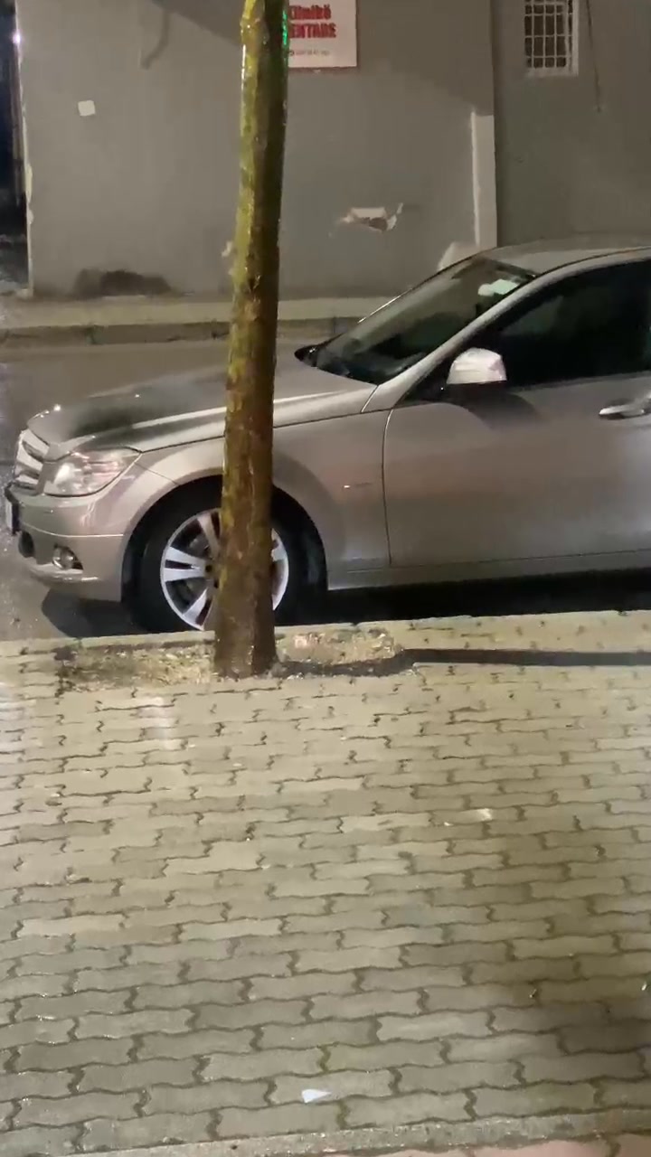 kjo-situate-ne-disa-pika-te-qytetit,-kryesisht-ne-lulishte