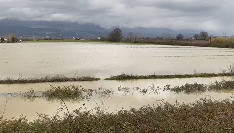 situata-problematike-ne-fushe-kruje/-qindra-hektare-toke-te-permbytura-pasi-lumi-ishem-doli-nga-shtrati,-20-familje-te-izoluara-nga-uji