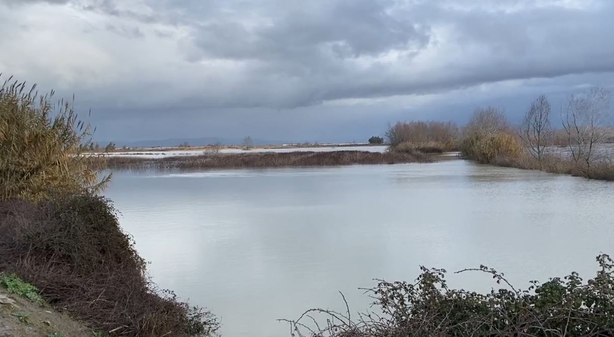 vjosa-del-nga-shtrati,-urdher-evakuimi-per-banoret-ne-fier