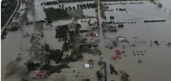 shqiperia-‘e-pushtuar’-nga-uji/-reagon-delegacioni-i-be:-po-ndjekim-me-shqetesim-situaten,-te-gatshem-te-mbeshtesim-popullin-shqiptar-ne-perballimin-e-motit-ekstrem