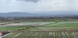 myzeqeja-nen-uje/-permbytjet-shkaterrojne-qindra-hektare-toke-bujqesore.-zonat-me-te-goditura