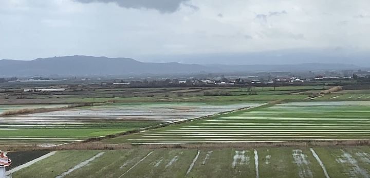 myzeqeja-nen-uje/-permbytjet-shkaterrojne-qindra-hektare-toke-bujqesore.-zonat-me-te-goditura