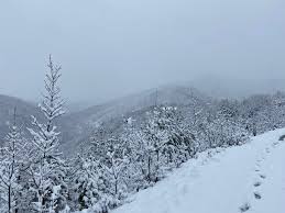 reshje-bore,-bllokohet-aksi-kruje–qafe-shtame,-izolohen-disa-fshatra