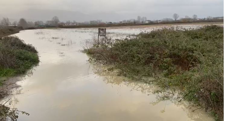 rritet-niveli-i-lumit-ishem,-permbyten-disa-fshatra,-dy-lagje-teresisht-te-izoluara,-qindra-hektare-toke-bujqesore-nen-uje