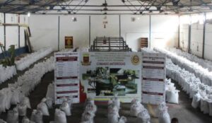 korridor-strategjik-dales-nga-amerika-latine-drejt-atlantikut!-lidhjet-e-grupeve-kriminale-nga-ballkani-me-venezuelen