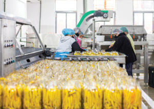 ne-vitin-2026,-agroindustria-pret-rritje-te-kostove-dhe-renie-konsumi