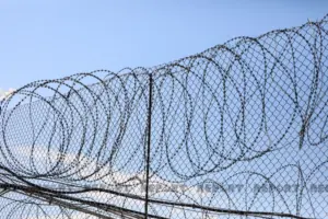 autoritetet-venezueliane-lirojne-116-te-burgosur-te-tjere