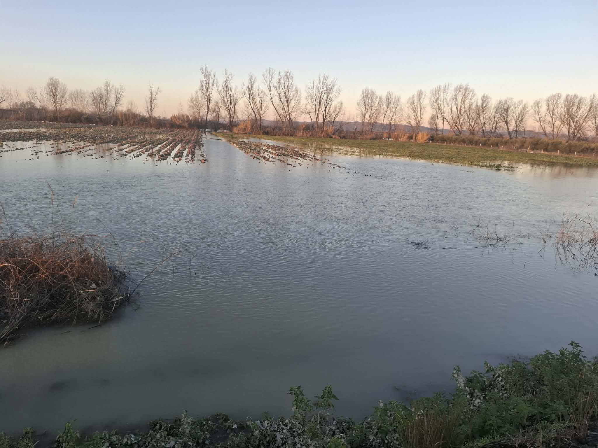 shkarkimet-nga-digat-dhe-kanalet-e-bllokuara,-rritet-siperfaqja-e-serrave-te-permbytura,-kostot