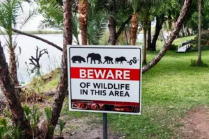 me-shume-se-600-persona-evakuohen-urgjentisht-nga-rezervati-me-i-madh-ne-afriken-e-jugut