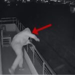 zbardhen-3-raste-te-vjedhjeve-ne-durres,-arrestohet-29-vjecari/-momenti-kur-kapet-nga-kamerat-e-sigurise-(video)