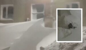 video/-hedhje-“me-koke”-nga-dritarja,-ne-“detin-e-bardhe”!-rusia-thyen-rekordin,-bore-deri-ne-katin-e-dyte-te-banesave