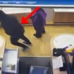 video/-nen-kercenimin-e-thikes-vidhte-xhirot-ditore-ne-subjekte-te-ndryshme,-arrestohet-30-vjecari-ne-tirane