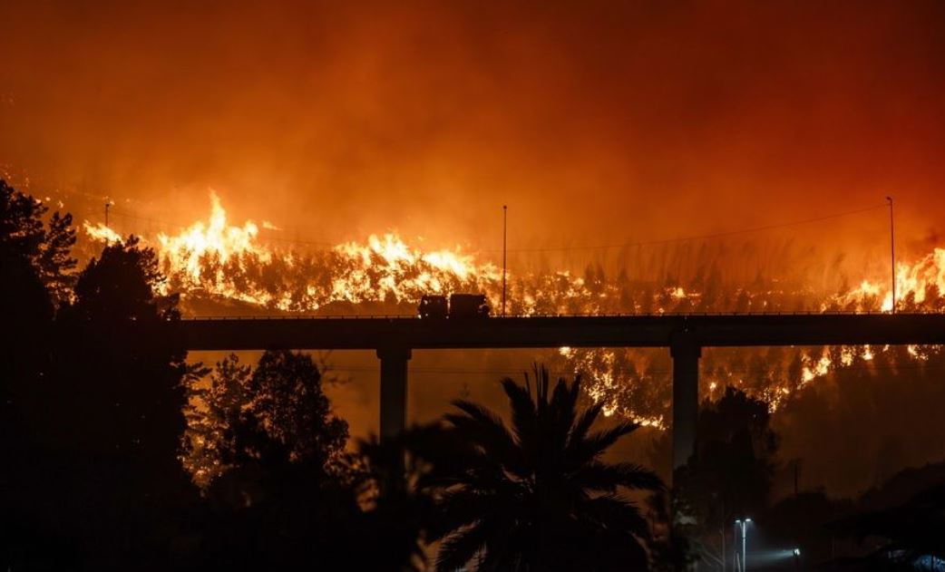kili-ne-gjendje-te-jashtezakonshme-per-shkak-te-zjarreve!-te-pakten-20-viktima,-shkrumbohen-mijera-hektare-pyje