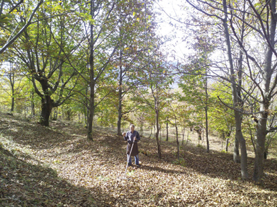 treguesit-gjeografik-dhe-emertimet-e-origjines,-gati-projektligji-per-rregullimin-dhe-mbrojtjen