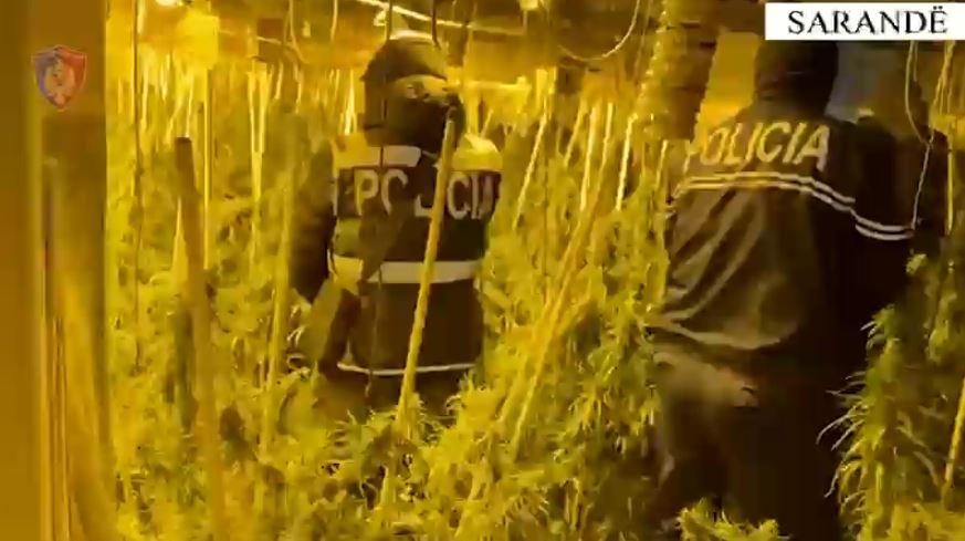 kultivonin-kanabis-ne-dy-apartamente-ne-sarande!-arrestohet-administratori-i-pallatit,-sekuestrohen-157-bime-narkotike-e-18-kg-droge