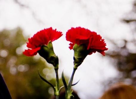 “drejtesia-i-ngjan-nje-breshke-qe-lutet-per-harrese”/-15-vite-nga-“21-janari”,-rama:-kater-viktimat-nuk-gjejne-dot-paqe