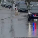 video/-investimet-ne-ishullin-e-sazanit,-dhendri-dhe-vajza-e-trump-mberrijne-ne-vlore-nen-masa-te-rrepta-sigurie