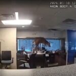 video/-incident-i-pazakonte!-dreri-thyen-dritaren-dhe-hyn-ne-nje-banke