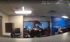 video/-incident-i-pazakonte!-dreri-thyen-dritaren-dhe-hyn-ne-nje-banke