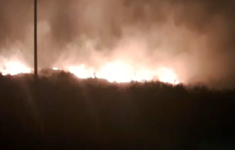 zjarr-ne-orikum/-dyshohet-i-qellimshem,-era-favorizon-perhapjen-e-flakeve