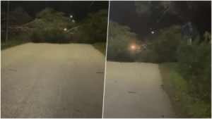 era-e-forte-rrezoi-pemet,-pas-nderhyrjes-se-zjarrfikesve-lirohet-qarkullimi-ne-rrugen-vlore-zvernec-(video)