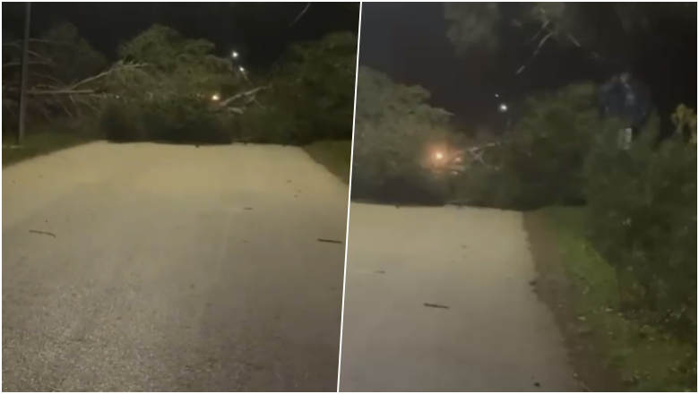 era-e-forte-rrezoi-pemet,-pas-nderhyrjes-se-zjarrfikesve-lirohet-qarkullimi-ne-rrugen-vlore-zvernec-(video)