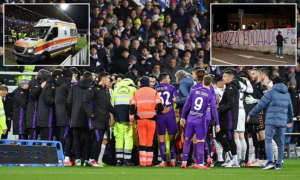 jeta-e-dyte-e-bove,-pas-arrestit-kardiak-ne-fushe:-defibrilatori?-si-nje-telefon-mes-brinjeve…