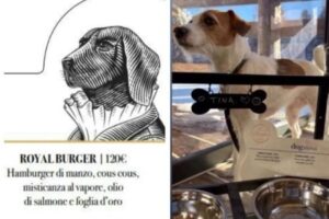 hamburger-me-mish-vici,-peshk-dhe-cous-cous-i-dekoruar-me-flete-ari/-meny-e-pazakonte-gourmet-per-qente-ne-prag-te-olimpiades-dimerore,-cmimet-shkojne-deri-ne-…