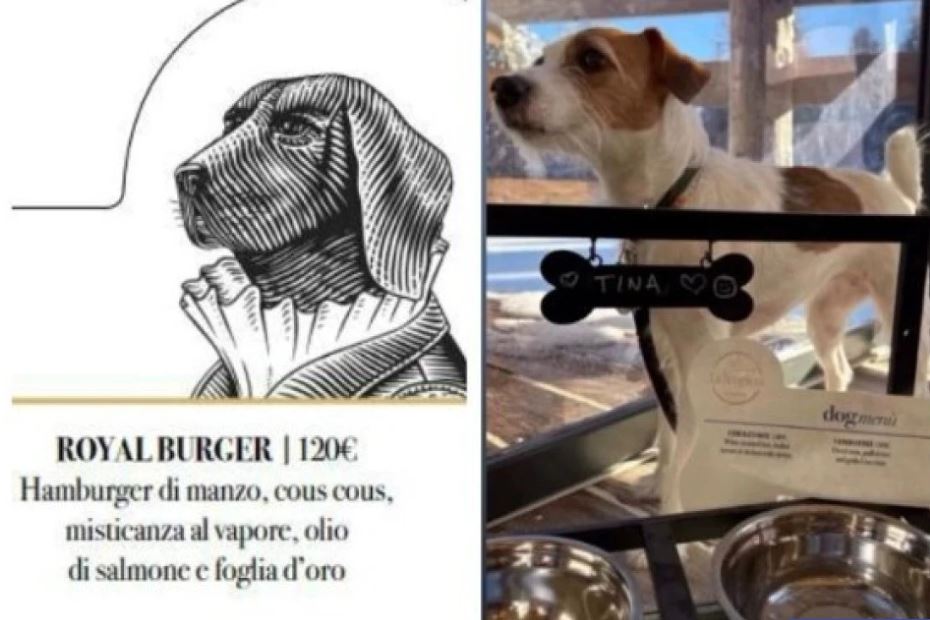 hamburger-me-mish-vici,-peshk-dhe-cous-cous-i-dekoruar-me-flete-ari/-meny-e-pazakonte-gourmet-per-qente-ne-prag-te-olimpiades-dimerore,-cmimet-shkojne-deri-ne-…