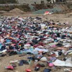 video/-si-‘treg’!-vetem-nje-kilometer-nga-tirana,-plehra-dhe-kafshe-te-ngordhura-ne-rrugen-e-arbrit