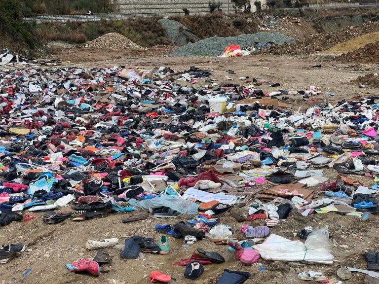 video/-si-‘treg’!-vetem-nje-kilometer-nga-tirana,-plehra-dhe-kafshe-te-ngordhura-ne-rrugen-e-arbrit