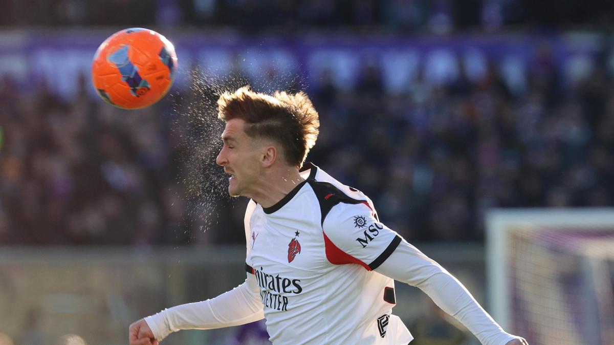 deklarata-shokuese:-me-var,-nese-ndihesh-i-prekur-ne-zone,-bie-vete.-dhe-qendron-me-gjate-ne-toke