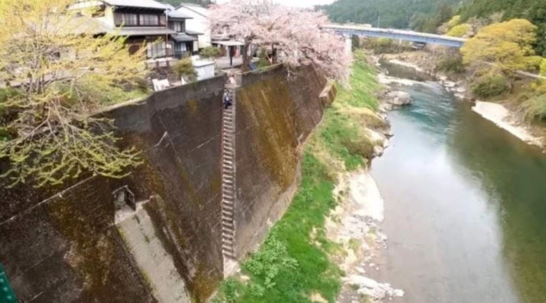 video/-njihuni-me-shkallet-me-te-frikshme-ne-bote,-ndodhen-ne-japoni!