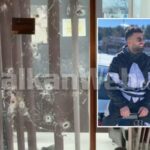 foto/-plagosja-ne-lezhe,-sokol-daci-mori-3-plumba,-transportohet-drejt-traumes