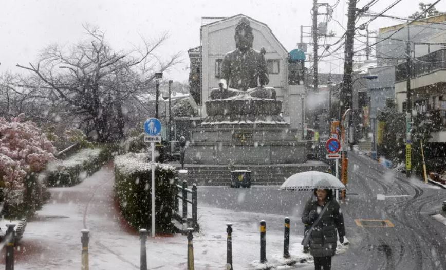 e-“varrosur”-ne-3-metra-bore/-reshjet-e-dendura-te-debores-ne-japoni-vrasin-30-persona-ne-dy-jave