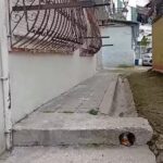 bruna-mersini-thuaju-te-vene-te-hapin-trotuarin,-se-i-paska-dal-pronari-edhe-rruges