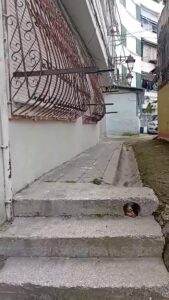 bruna-mersini-thuaju-te-vene-te-hapin-trotuarin,-se-i-paska-dal-pronari-edhe-rruges