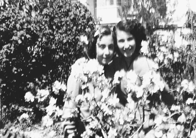 “pas-vdekjes-se-babait-ne-burg,-na-internuan-ne-elbasan,-por-nderhyri-vito-kapo,-e-na-ndihmoi-ministri-i-drejtesise,-manol-konomi,-njeri-i-respektuar…”/-deshmia-e-se-bijes-se-ish-firmetarit-te-pavarsise