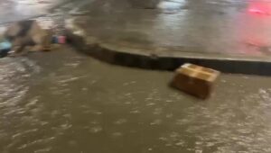 kam-folur-une,-nuk-ka-shi!