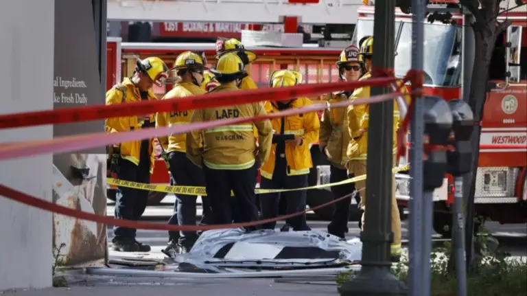 tre-te-vdekur-dhe-gjashte-te-plagosur-pasi-nje-makine-perplaset-me-nje-supermarket-ne-los-angeles