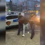 akuzohet-per-kultivim-te-92-kg-kanabis,-arrestohet-34-vjecari-ne-lezhe.-ne-banese-i-gjenden-dhe…