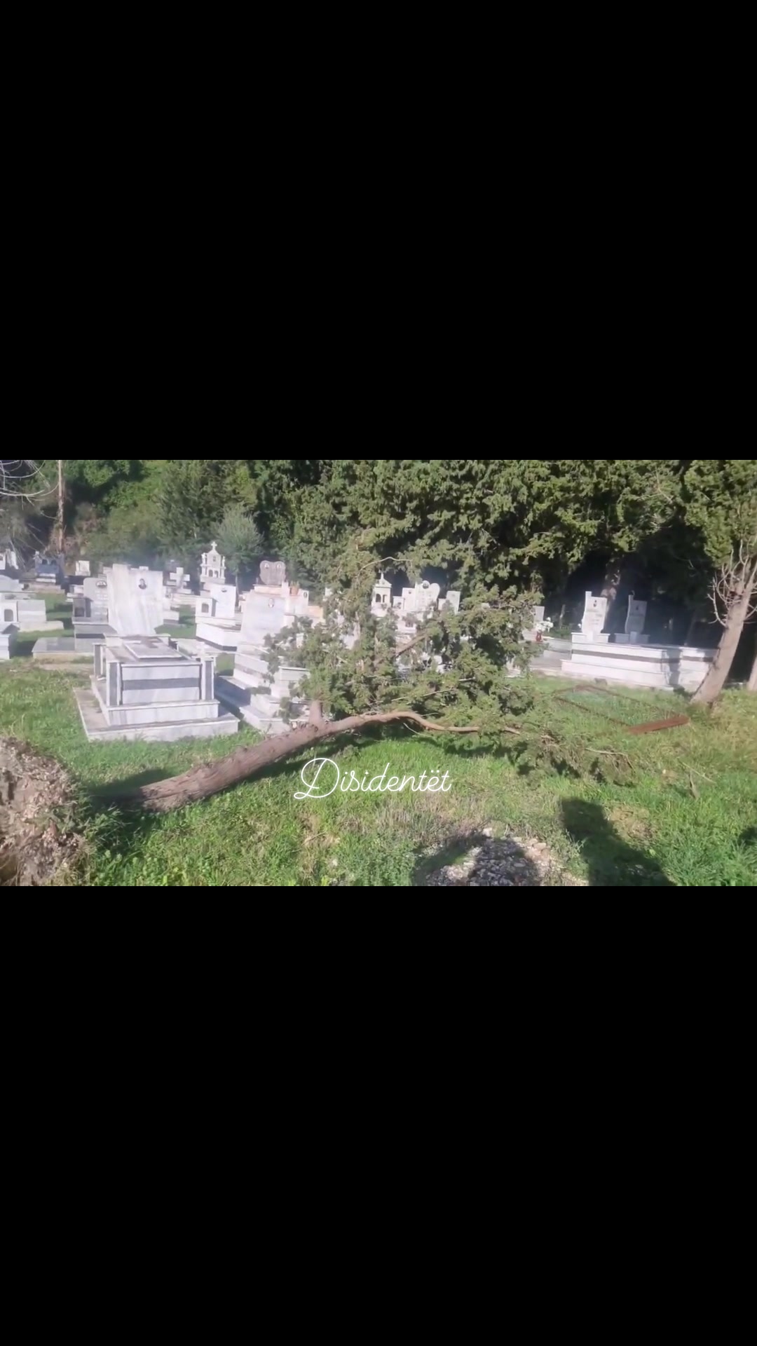 ja-ketej-nga-varrezat-e-zvernecit…